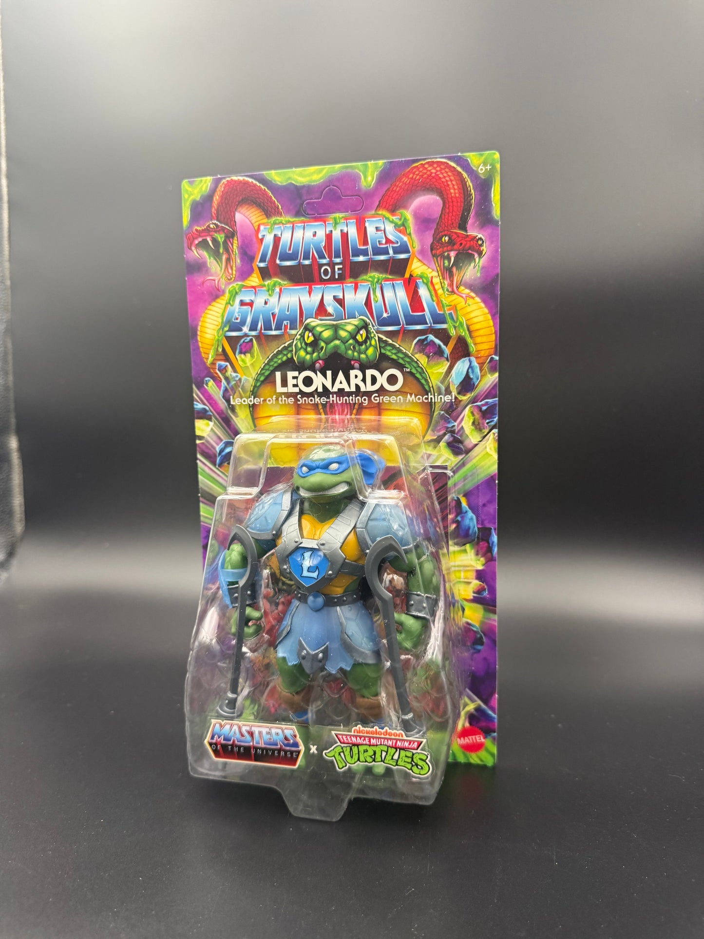 MOTU Turtles of Grayskull Leonardo Reptile Wars TMNT Mattel JBN03